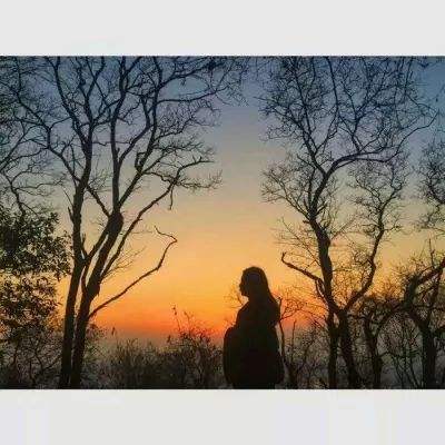 球探手机app下载