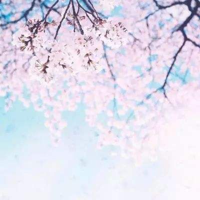 极速赛车游戏app下载