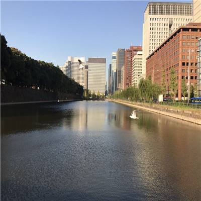 m6米乐官方网站登录入口APP下载