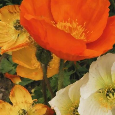 yabo网页版手机版