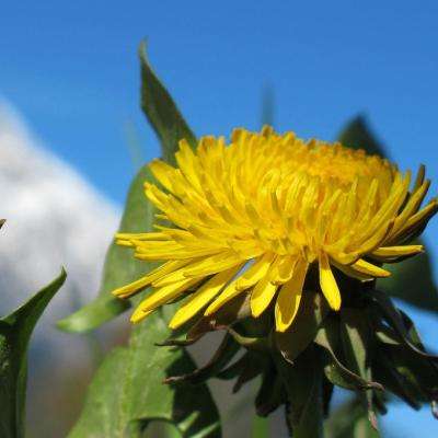 722cc彩票手机app下载