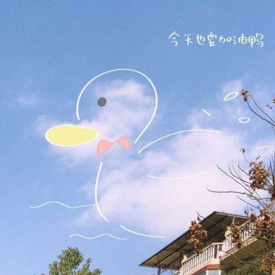 半岛·体育综合APP下载