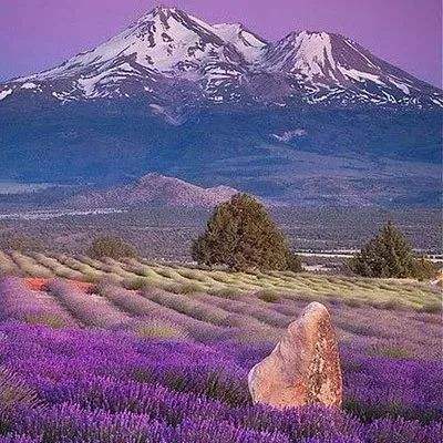 万博最新ManBetX网页版登录