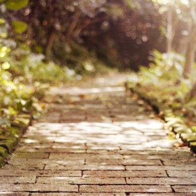 m6米乐官方网站登录入口APP下载截图